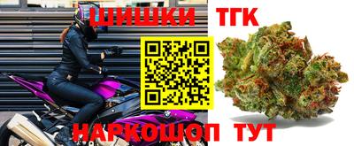 прущие грибы Гусиноозёрск
