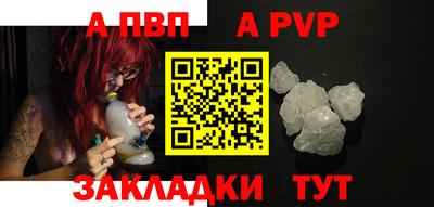 прущие грибы Гусиноозёрск