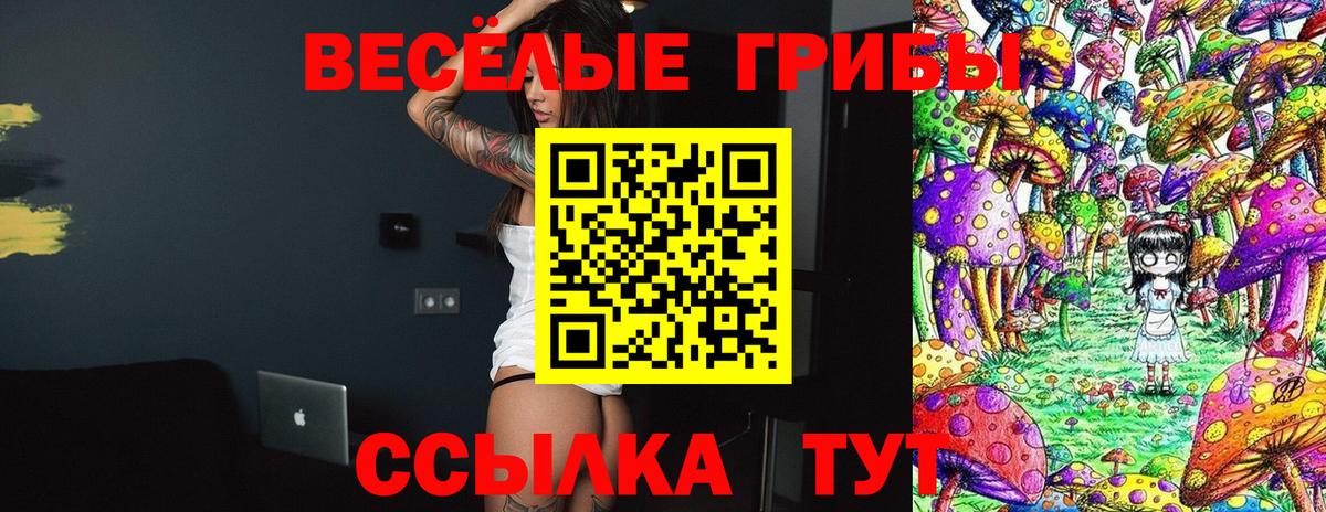 Галлюциногенные грибы Cubensis Кумертау