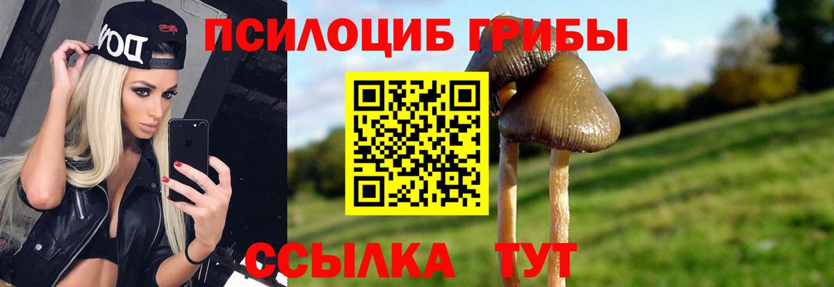 Кумертау  Псилоцибиновые грибы мухоморы  Вход с VPN 